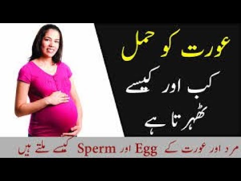 How Do Females Get Pregnant in Urdu