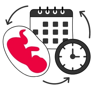How to Calculate Gestational Age in Urdu