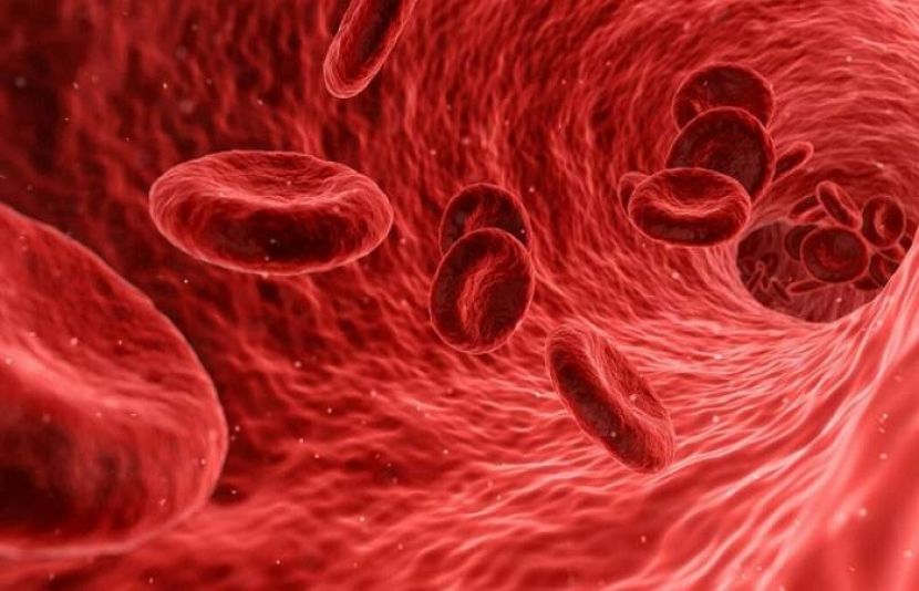 How to Increase Blood Flow to Penis in Urdu