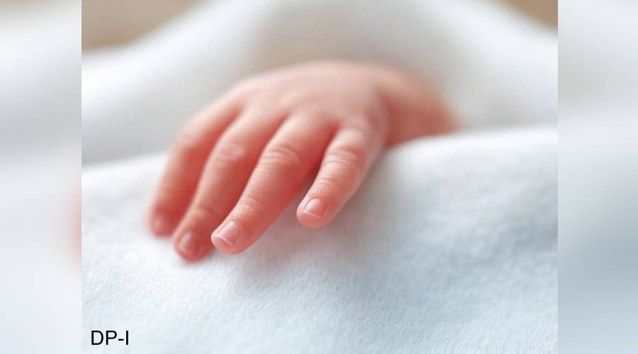 How to Conceive a Baby Boy Naturally in Urdu