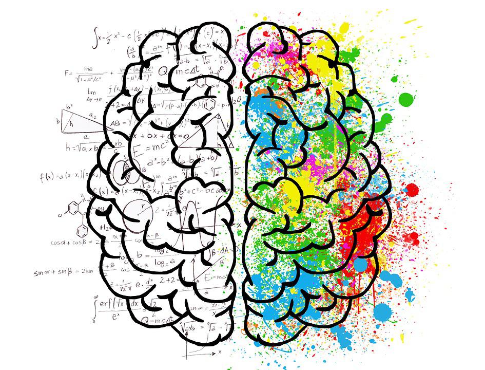How Anxiety Affects the Brain in Urdu