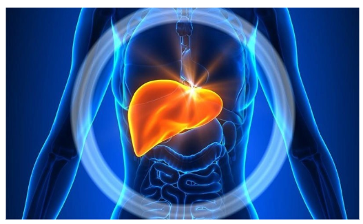 How to Keep Liver Healthy in Urdu
