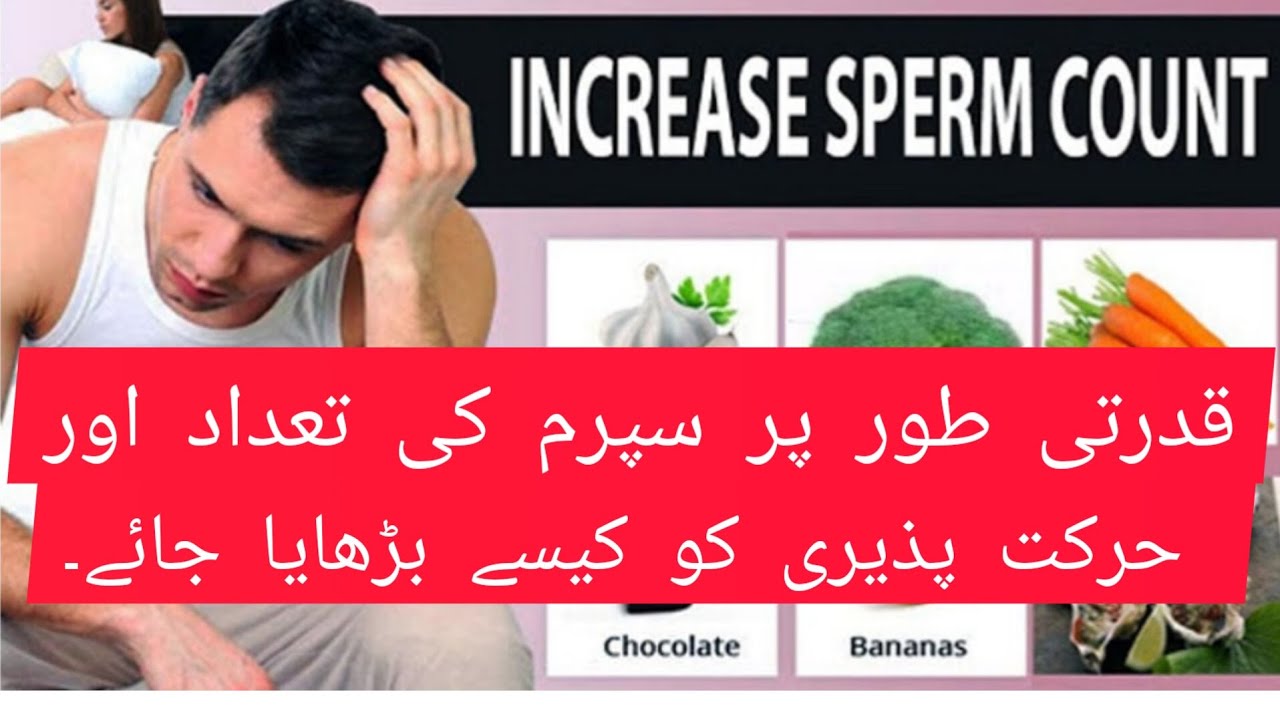 How to increase spermcount  motility       