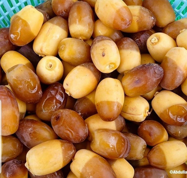 How Much Calories in One Date in Urdu