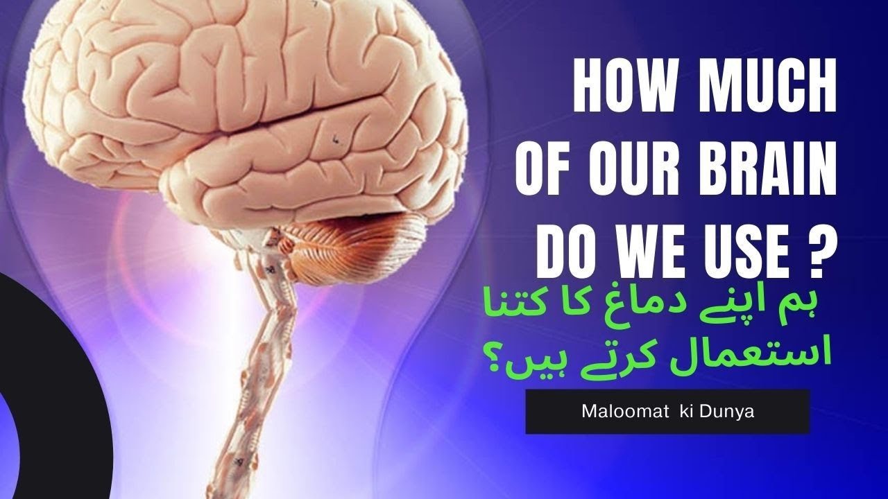 How Convolutional Neural Networks Work in Urdu