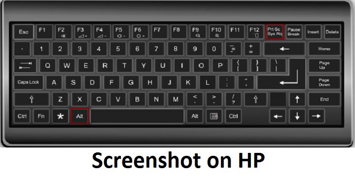 How to Screenshot on Hp Laptop  Hp laptop Computer learning Laptop