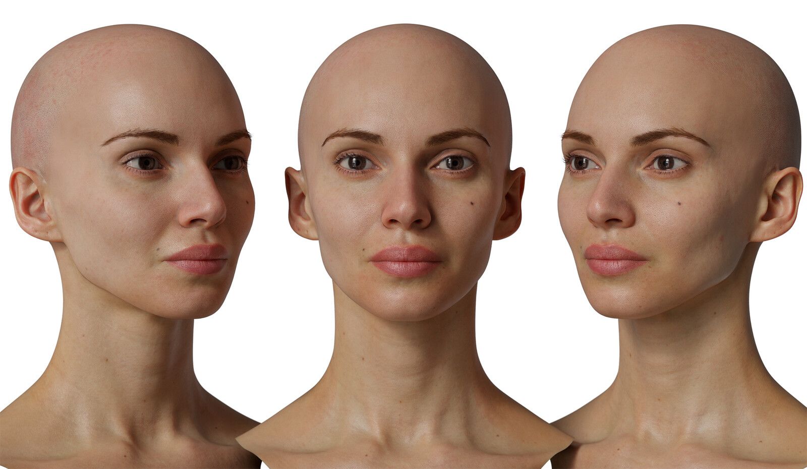 80 x New HD Head Scans 3D Scan Store  Head anatomy Skin paint Scan