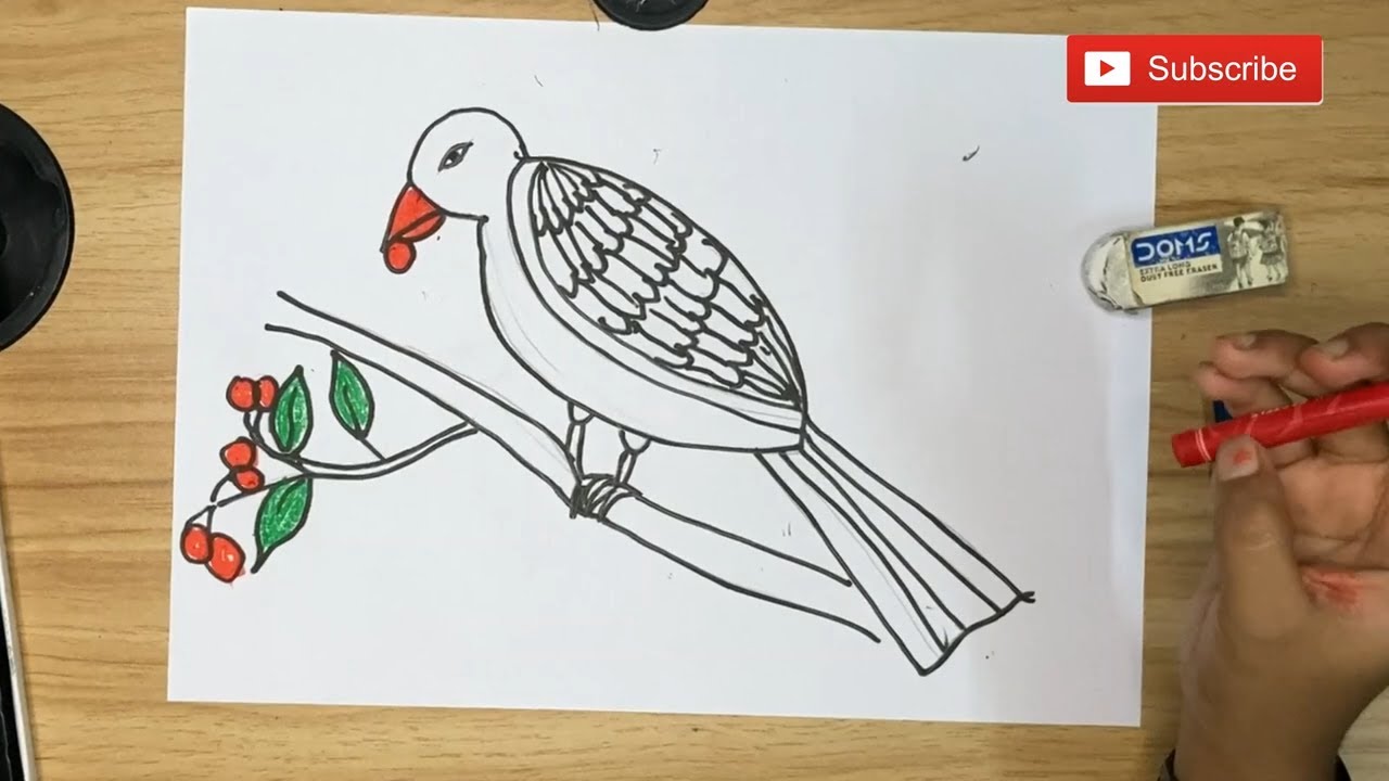 Draw a Bird eating Fruits  how to draw a bird very easy step by step 