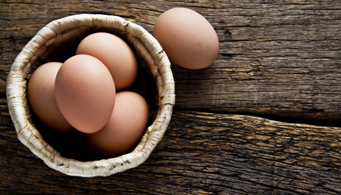 How Much Protein in 1 Egg  Prorganiq