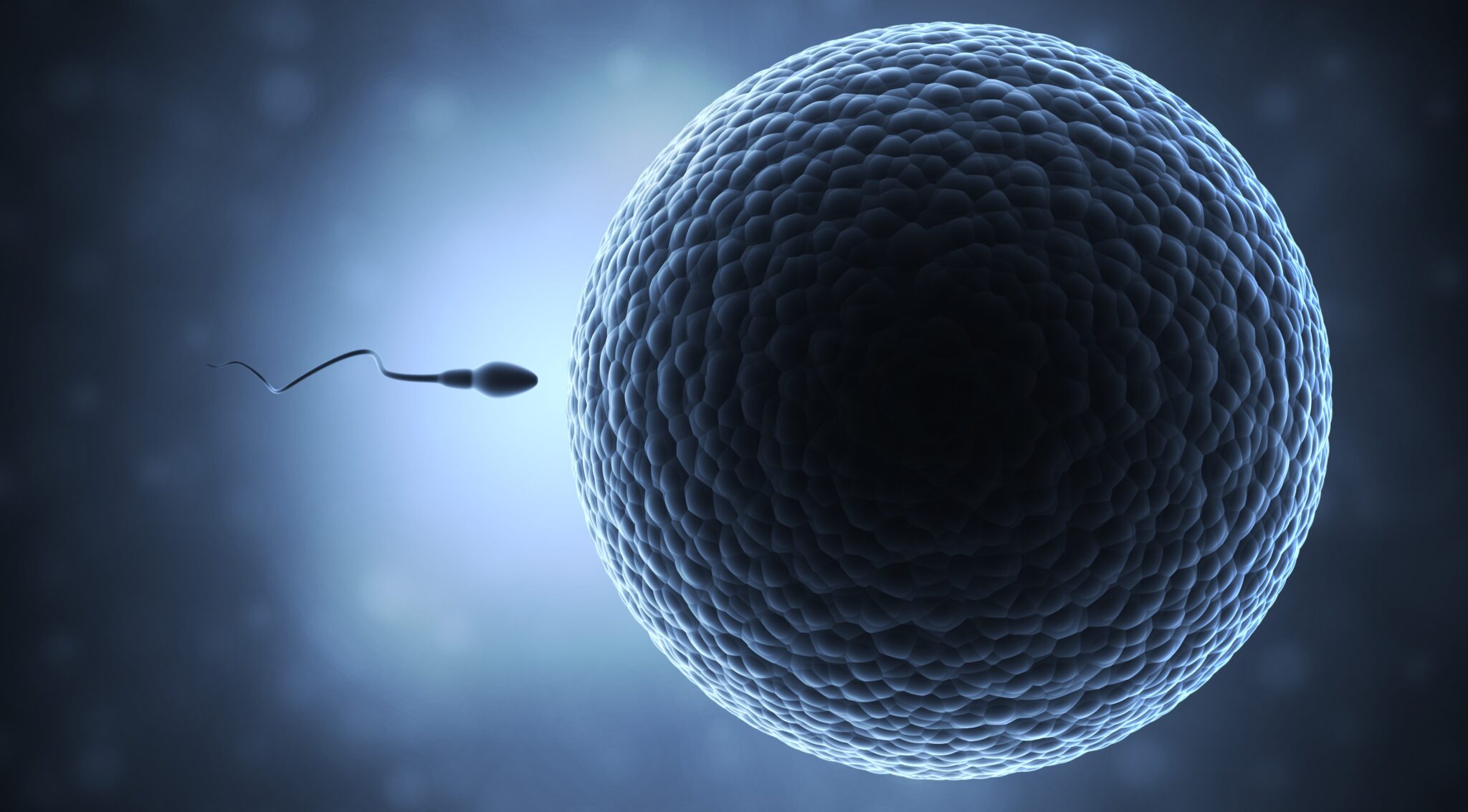 How to Confirm Whether Sperm Went Inside in Urdu