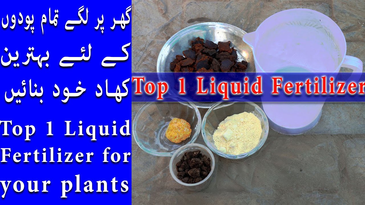 How to Make Purple in Urdu