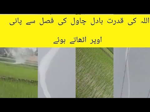 How Much Water Can Clouds Hold in Urdu