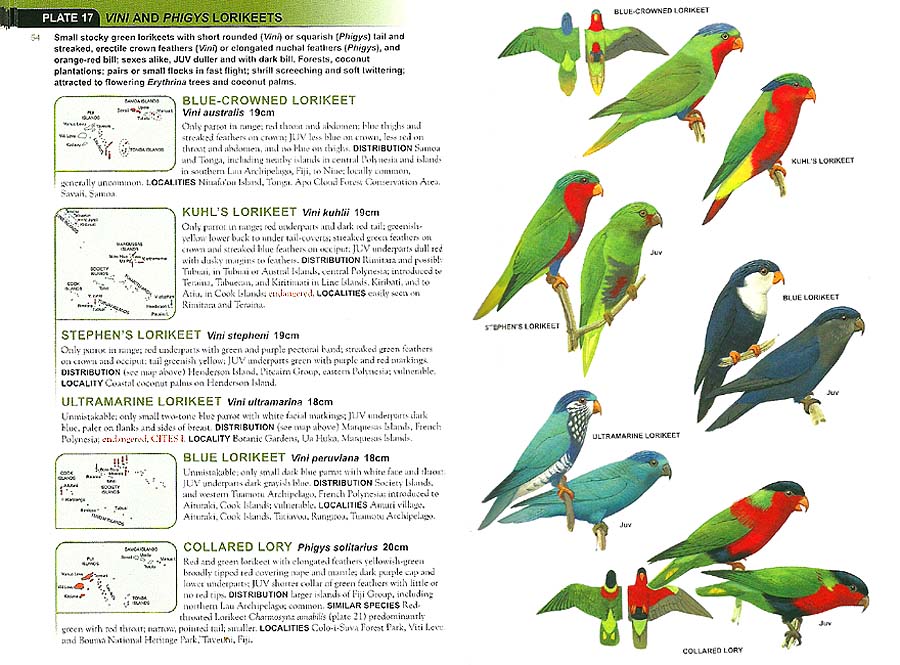 Christian Artuso Birds Wildlife Parrots of The World