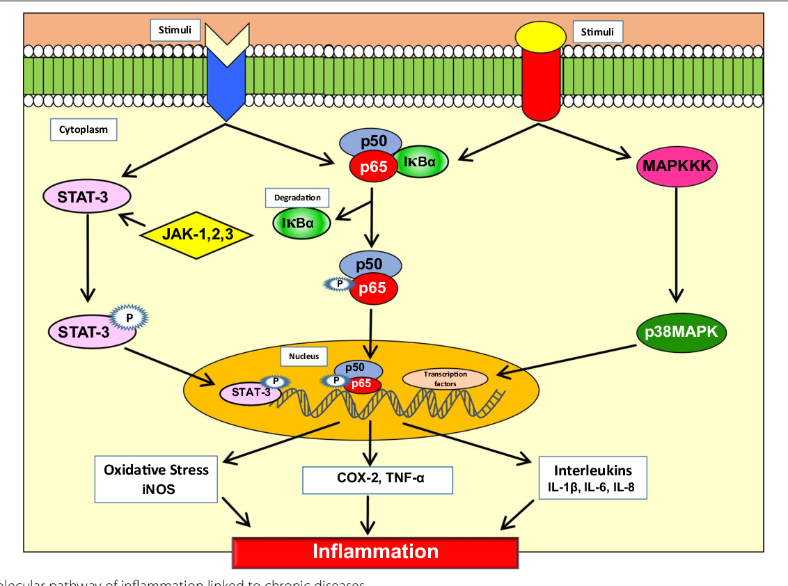 Alkaline Phosphatase  Semantic Scholar