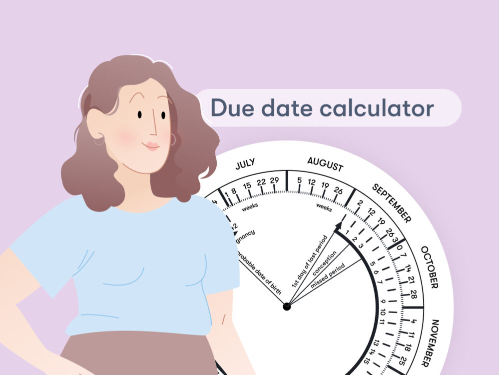 Pregnancy due date calculator  Flo
