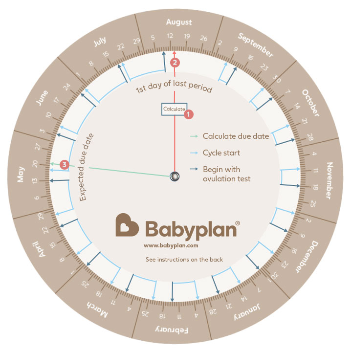 How to Calculate Your Pregnancy Due Date in Urdu
