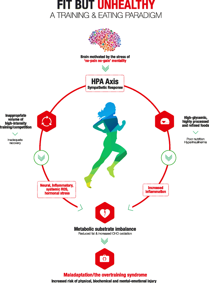 Athletes Fit but Unhealthy  Sports Medicine  Open  Full Text