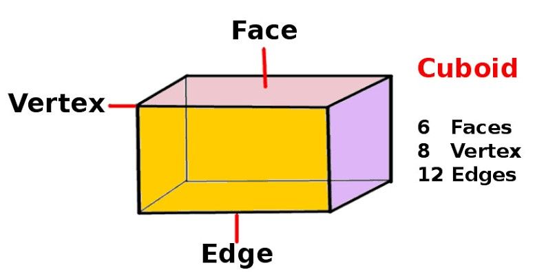 Properties of Cuboid  Cuboid Mathematics Vertex