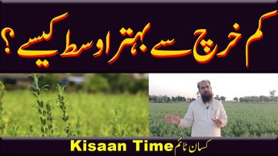 How to Find Weighted Average in Urdu