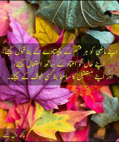 How I See My Future in Urdu