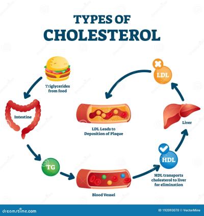 How to Control LDL Cholesterol in Urdu