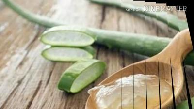 How to Apply Aloe Vera on Hair in Urdu