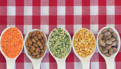How Many Protein Should I Eat a Day in Urdu