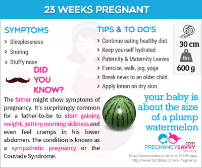 How Many Months is 23 Weeks Pregnant in Urdu