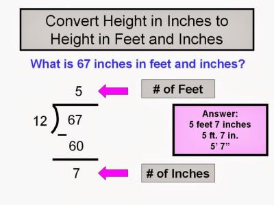 How Many Inches Are There in 1 Feet in Urdu