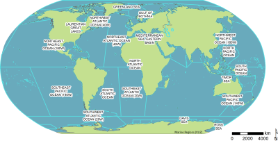 How Many Seas Are in the World in Urdu