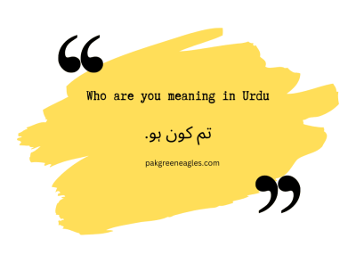 How Are You in Urdu in Urdu