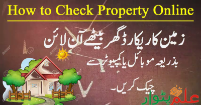 How to Check Land Registry Online in Punjab in Urdu