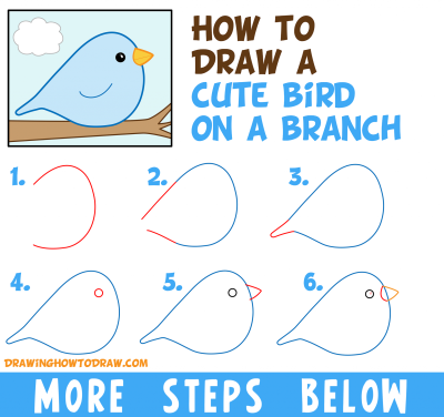 How to Draw a Bird in Urdu