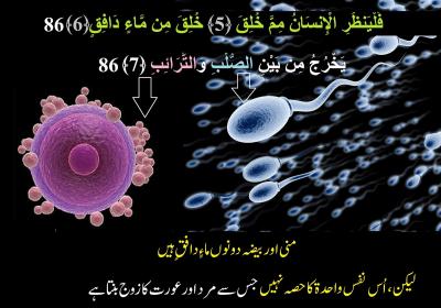 How to Confirm Whether Sperm Went Inside in Urdu