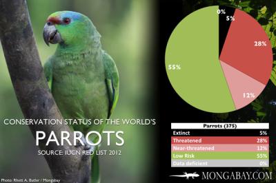 How Many Parrots Are Left in the World in Urdu