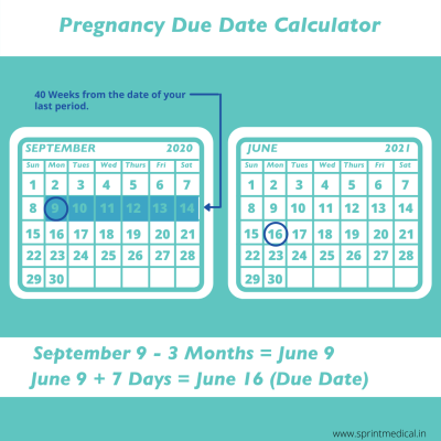 How to Calculate Your Pregnancy Due Date in Urdu
