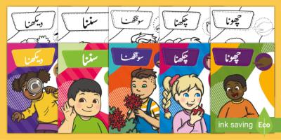 How Many Senses Do We Have in Urdu