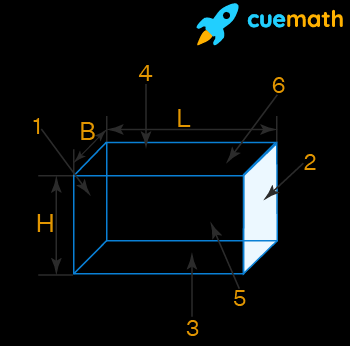 A Cuboid Has How Many Faces in Urdu