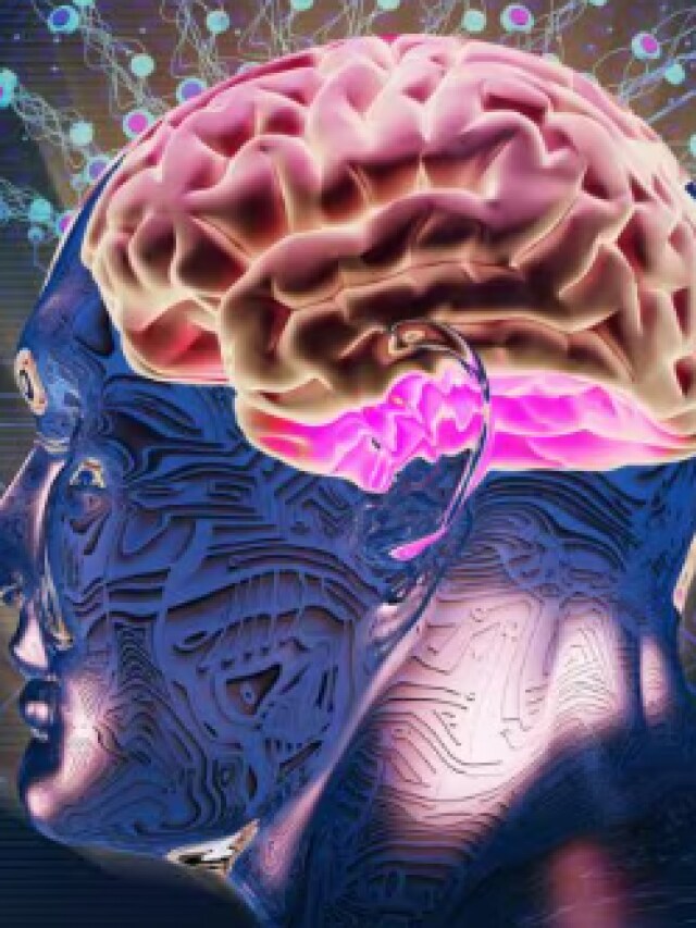Boost Brain Health       