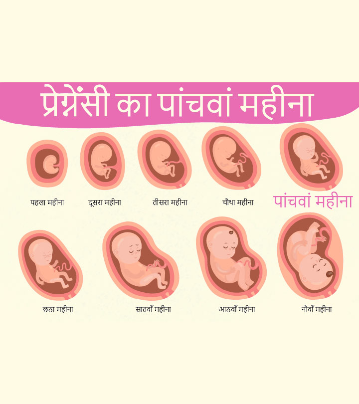 How Many Weeks is 5 Months Pregnant in Urdu