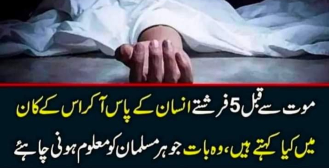 How Many Bones in Ear in Urdu