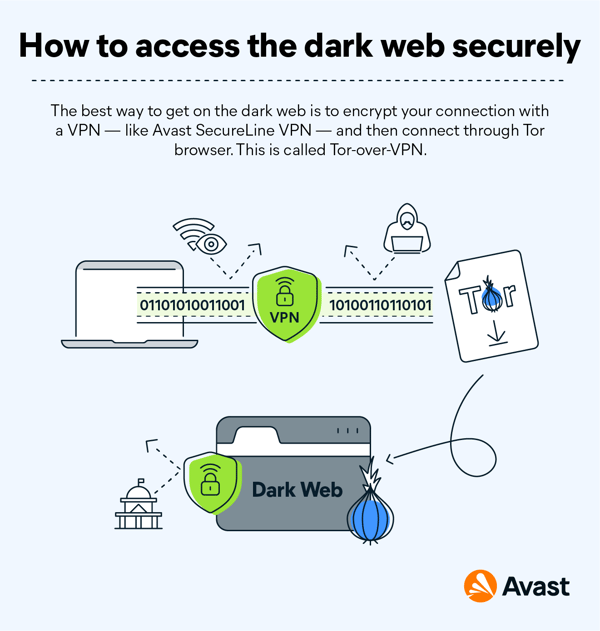 What Is the Dark Web How to Access It Safely  Avast