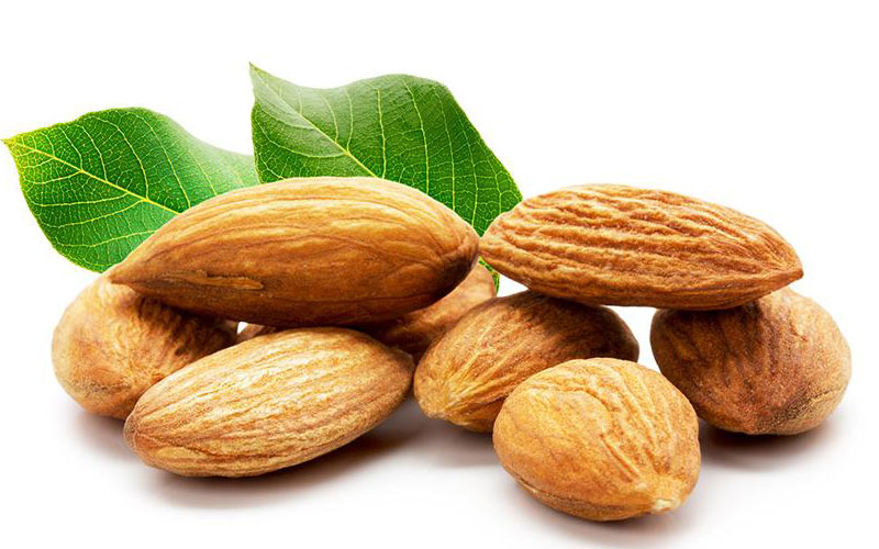 How Much Protein in One Almond in Urdu
