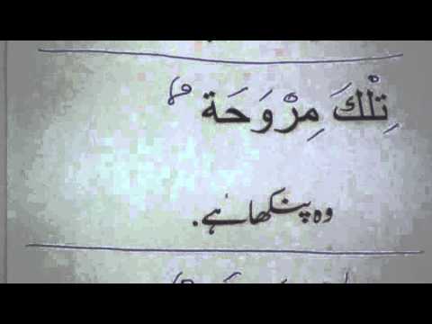 Learn Arabic through Urdu lesson5     YouTube