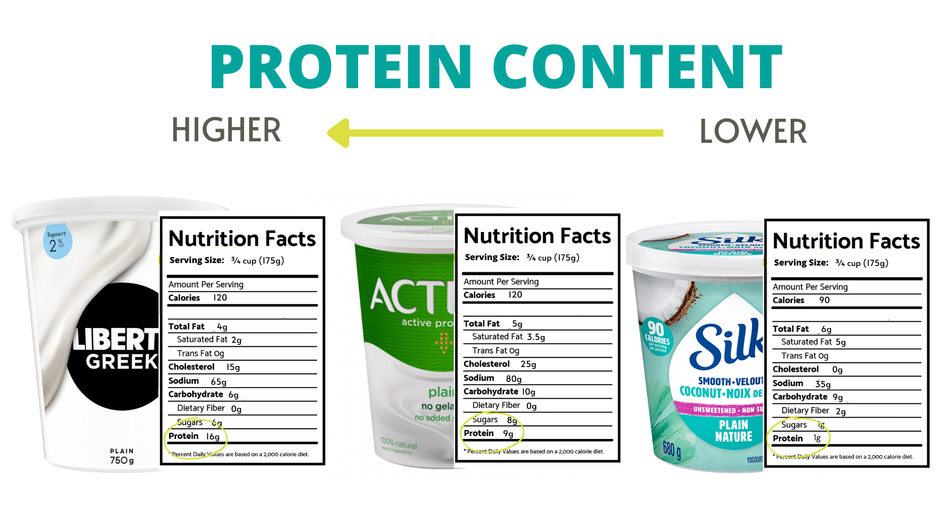 How Many Protein in 100 gm Yogurt in Urdu