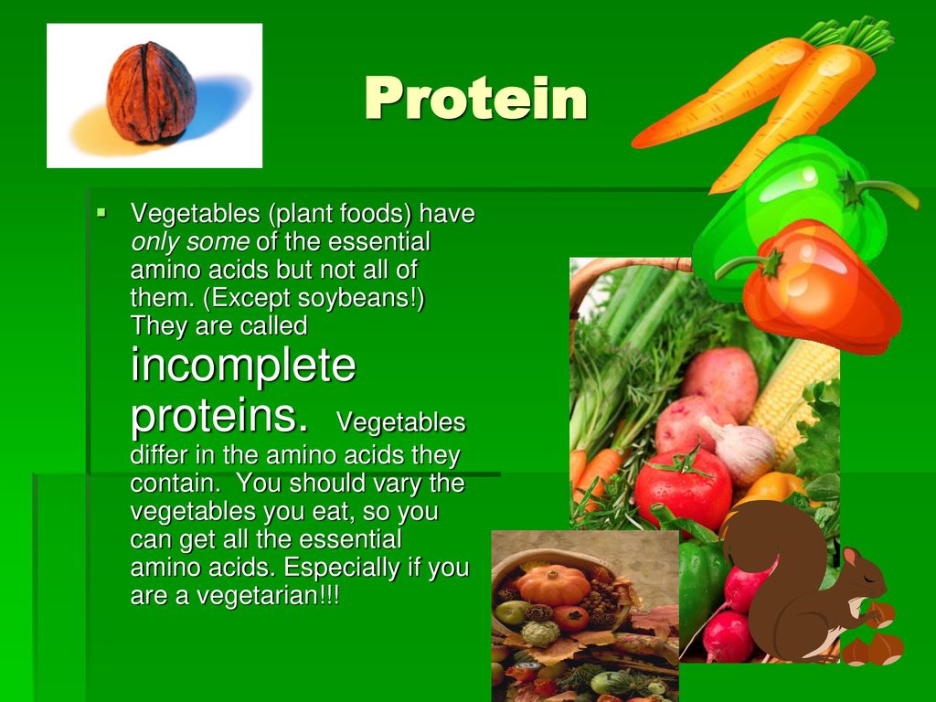 Protein by Judy Martin Scranton High School  ppt download