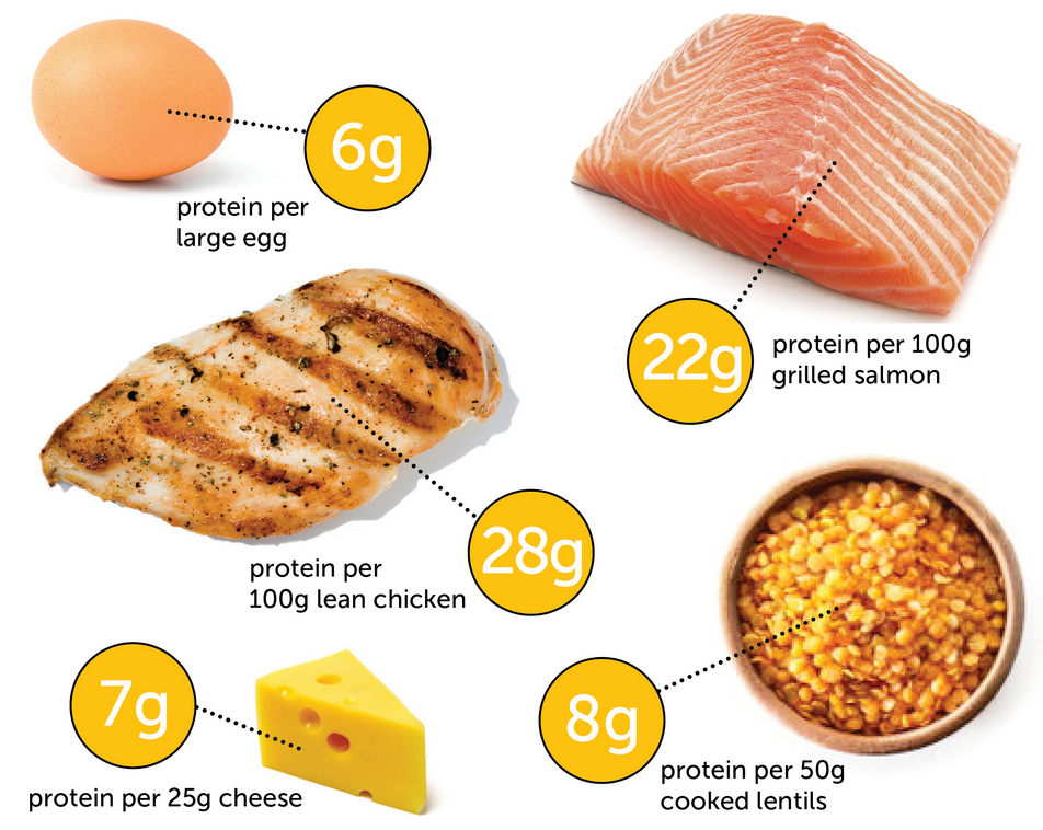 How Much Protein do I Need Per Day  Amelia Phillips