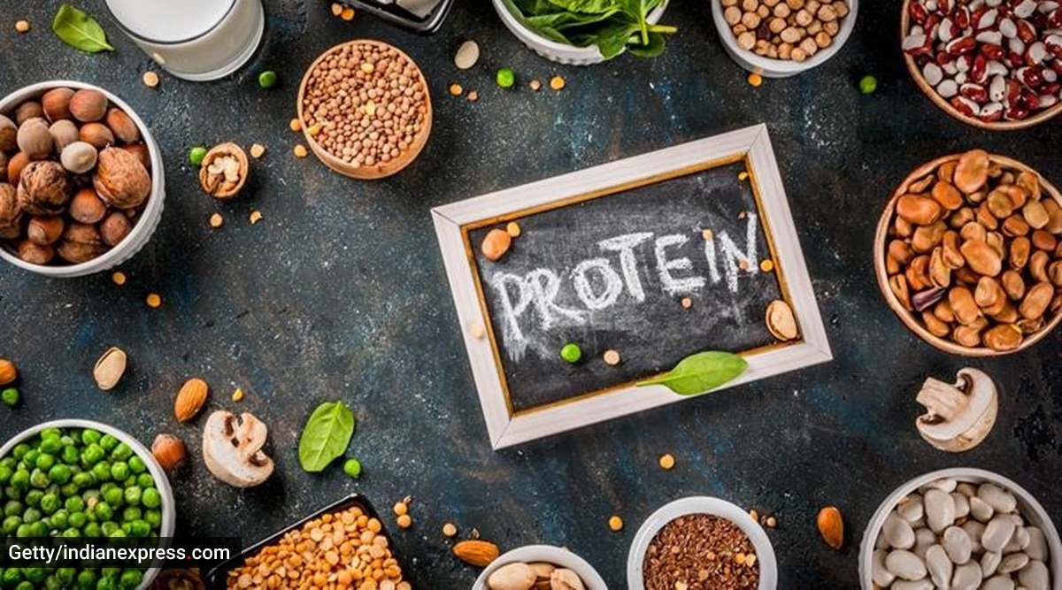 How Much Protein in Oats in Urdu