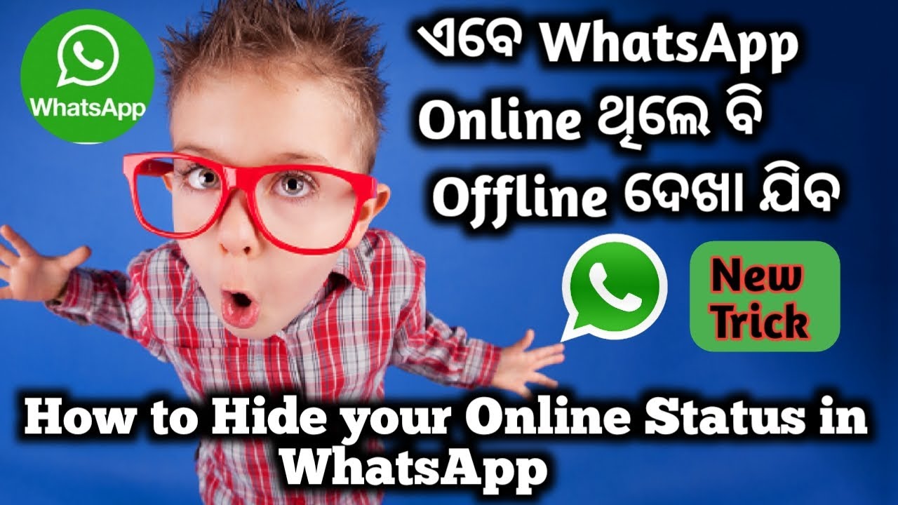 How to Check Someone’s Online Status in WhatsApp in Urdu