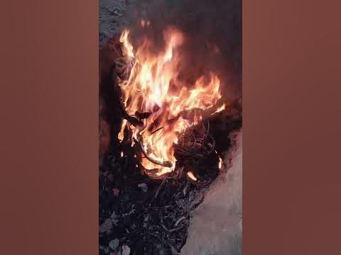 viralvideo      new  YouTube